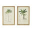 Arbre S / 2, 15,5 po x 23,5 po