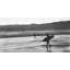Surfers - Waves Sports, reproduction encadrée matte | Décoration intérieure-410191670-410191671