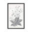 « neutral botanique vi », reproduction d’impression sur toile tendue-27698605-72450069-72450075