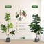 Figuier artificiel 4/5/6 / 7FT en pot, ficus réaliste pour décoration de bureau à domicile, cadeau de pendaison de crémaillère-2055553607-2055553610
