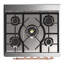 Majestic III Series 30 Inch Dual Fuel Range with 5 Sealed Burners in White (Liquid Propane, Burnished Trim)-178424762-178424765-178424767