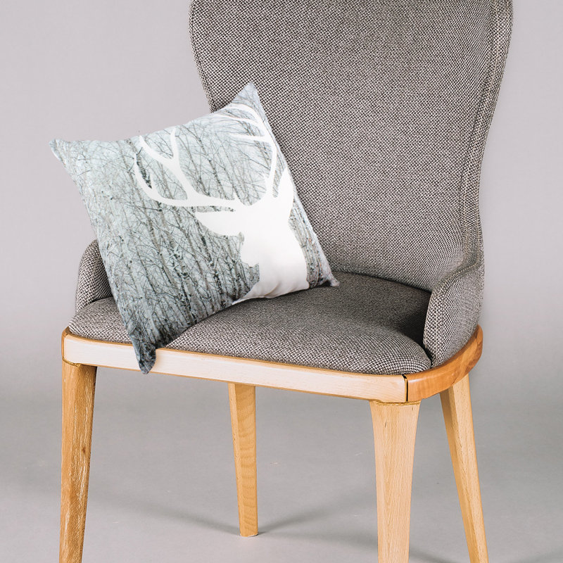 Seasonal Reversible Throw Pillow