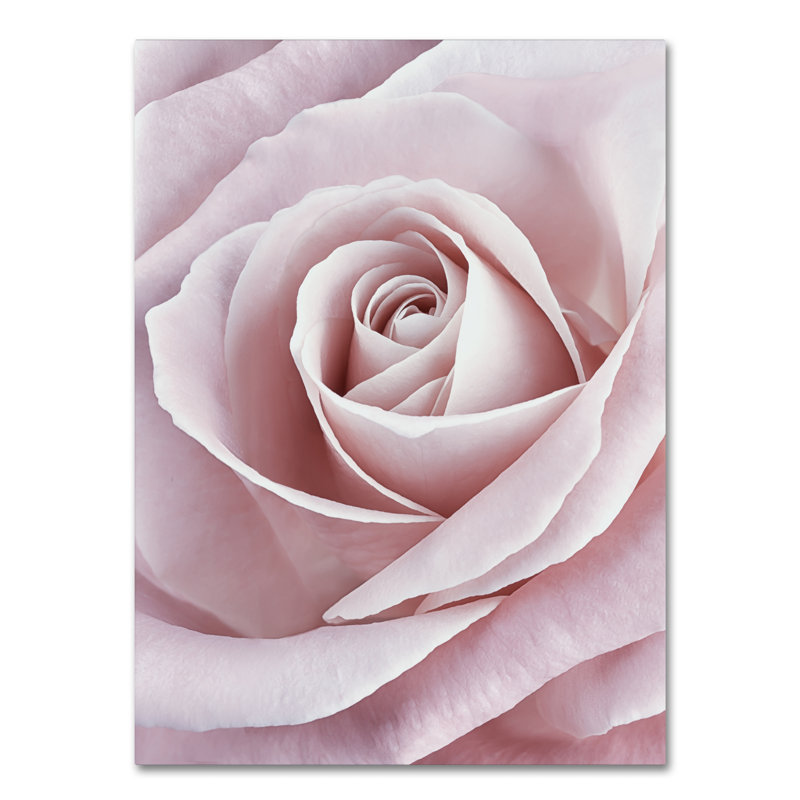 Rose rose par Cora Niele - reproduction de photo sur toile, H 32 po x l 24 po x P 2 po