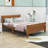 Dovidio Wood Platform Bed Frame with Headboard-653515525-653515524