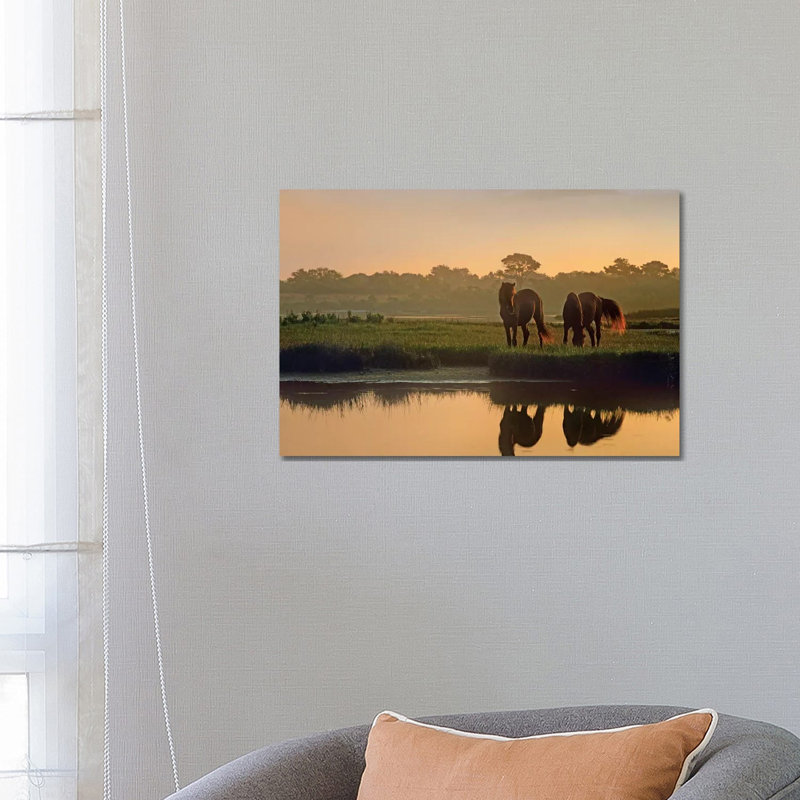 Wild Horse Pair Grazing At Assateague Island National Seashore, Maryland by Tim Fitzharris - Wrapped Canvas Print