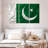 Silky Pakistan Flag-995173319