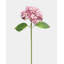 Small White Hydrangea 18"-1386890572