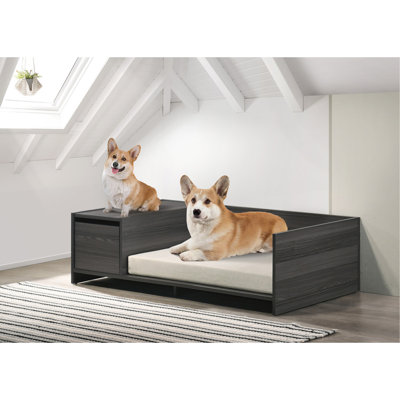 Lit pour animaux de compagnie moderne confortable avec coussin et compartiment de rangement latéral Enrica