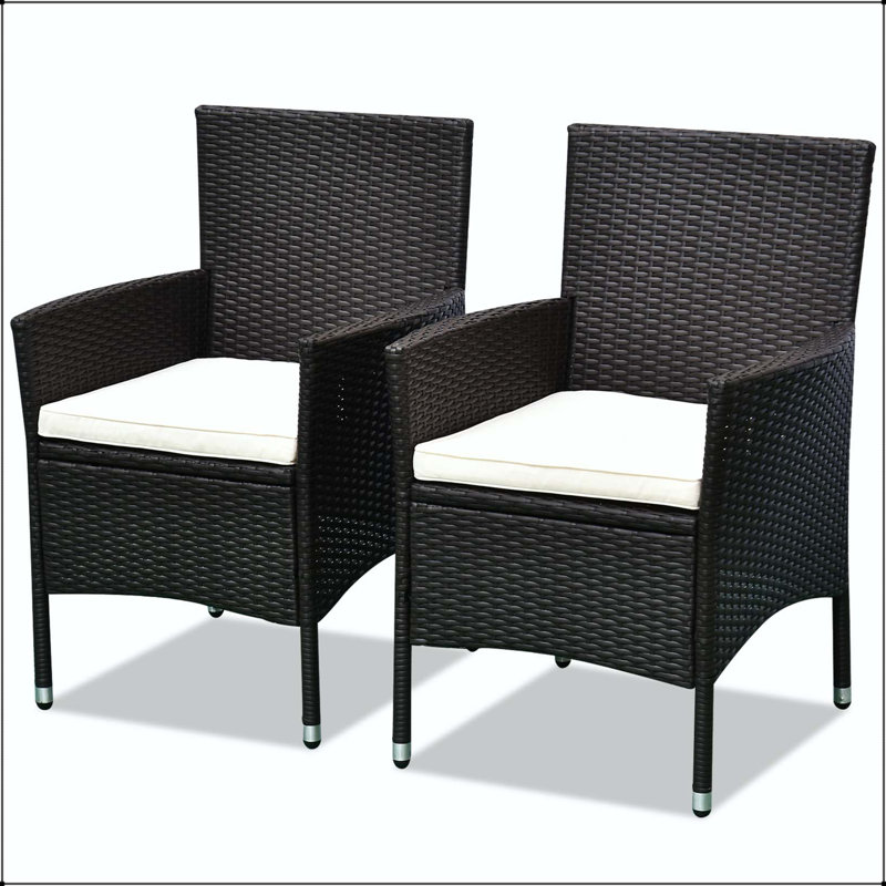 Chaise de salle à manger en rotin et osier avec coussins (ensemble de 2)