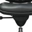 Ergonomic Task Chair