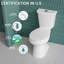 Toilette haute compacte 17 po ADA 17 po pour personnes âgées, 1,1 / 1,6 GPF Tornado Dual Flush, CARTE 1000 g, blanc-113948125