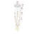 Aliha 13 - Light Cluster Pendant-885694256