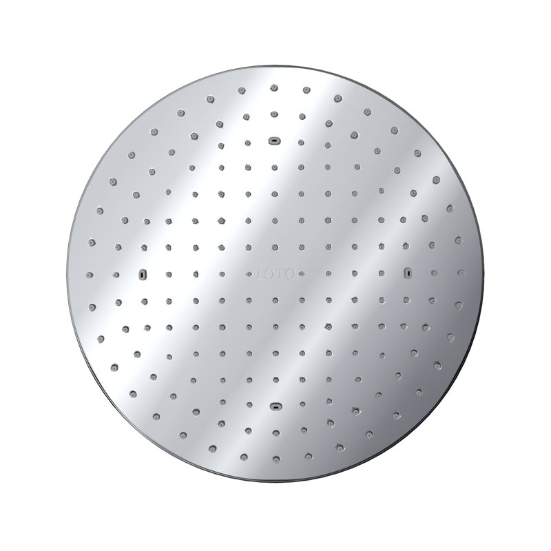 Rain Adjustable Shower Head, Polished Chrome