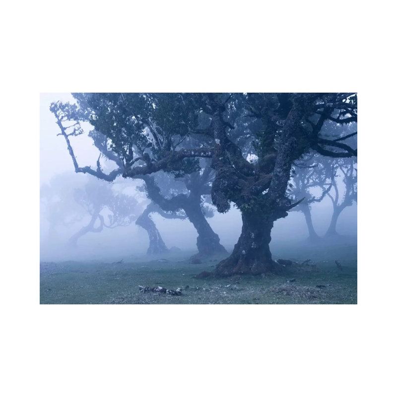 Ents II 1 Piece Wrapped Canvas Wall Art, 45.72cm H x 66.04cm W x 1.91cm D