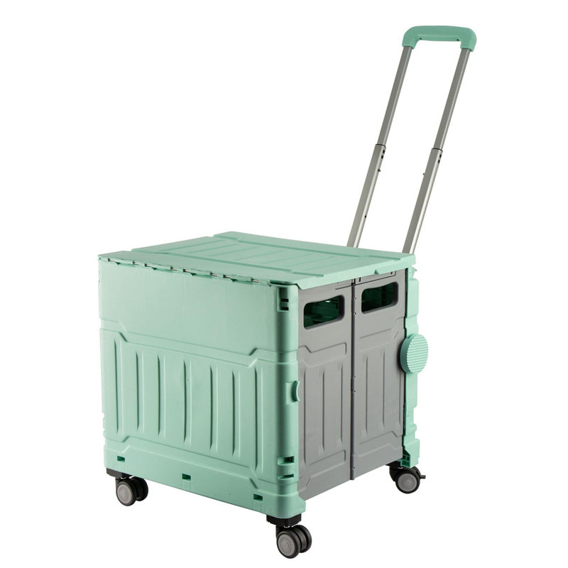 Rebrilliant Plastic Storage Tub & Tote, Green