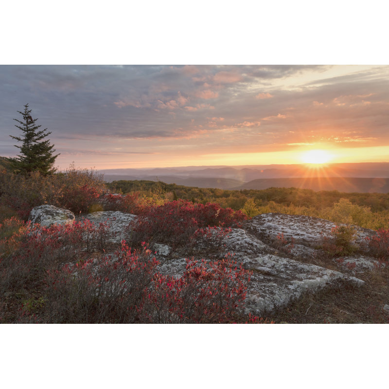 Good Morning by Danny Head - Wrapped Canvas Print, 81cm H x 122cm W
