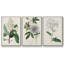 Garden Gems VII, ensemble de 3 toiles encadrées-97792696-97792700