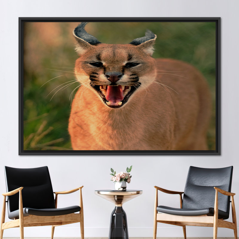 Print on Canvas, Framed Print without Mat, 20 cm H x 30 cm W, Black