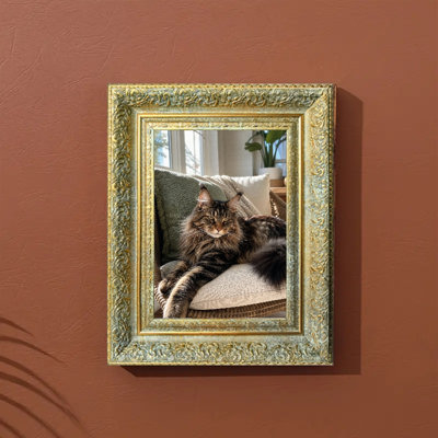 5" x 7" Antique Gold 1PC Wall Mounted Picture Frame for Pet Photo Display