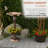 Plastic/Acrylic Pedestal Birdbath