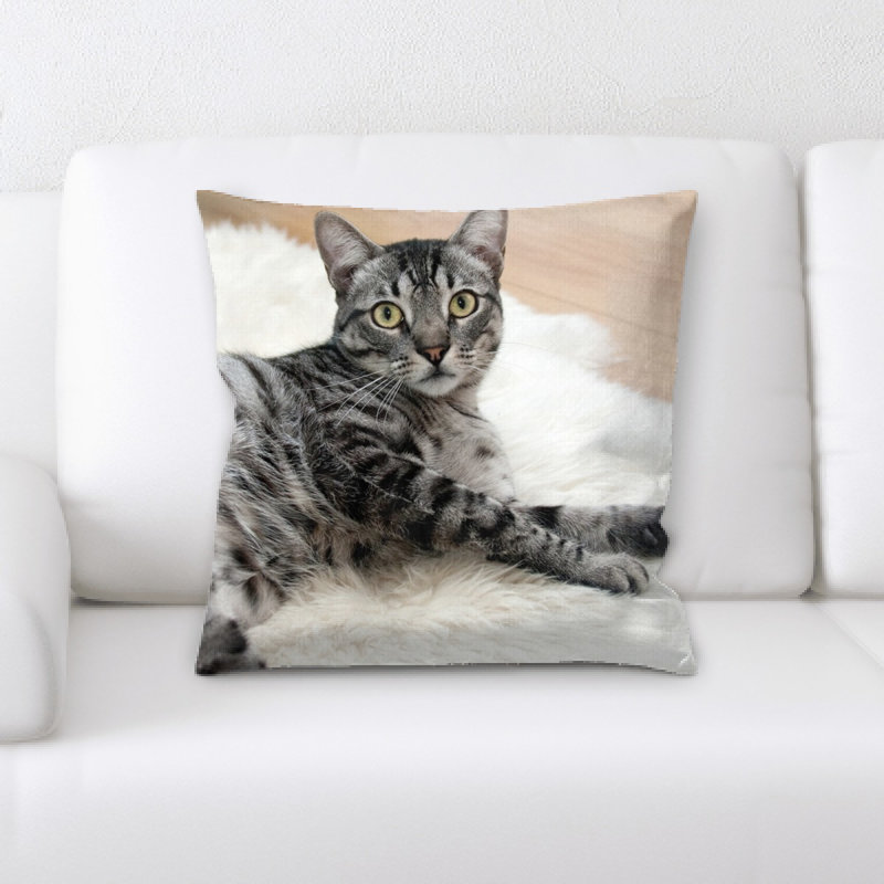 Coussin pour chat