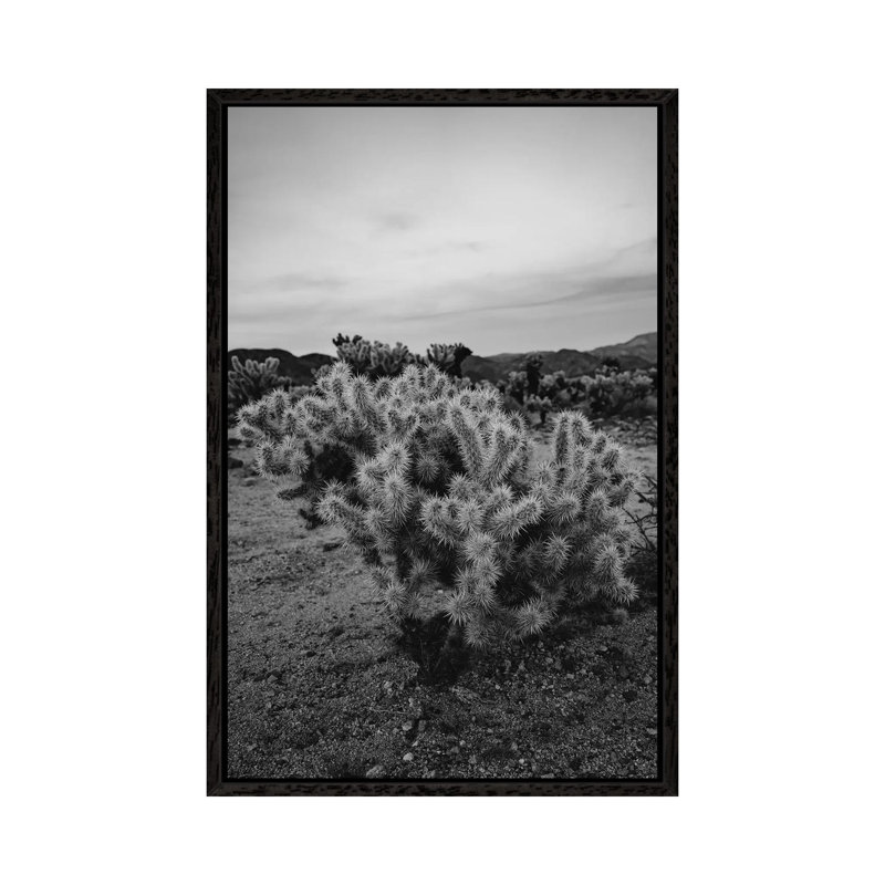 Cholla Cactus Garden IX 1 Piece Wall Art on Canvas, 101.6cm H x 66.04cm W x 3.81cm D, Black Framed