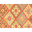 Southwestern Area Rug in Multi