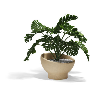 Luna Planter