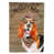 Basset Hound 1