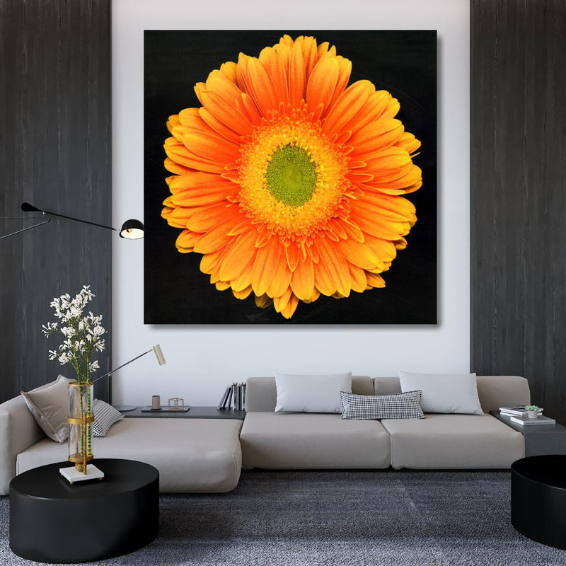 Radiance, 36" H x 36" W