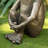 12''H MGO Bronze Squatting Frog Statue