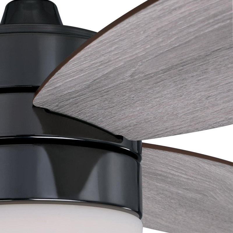 48'' Ceiling Fan with LED Lights