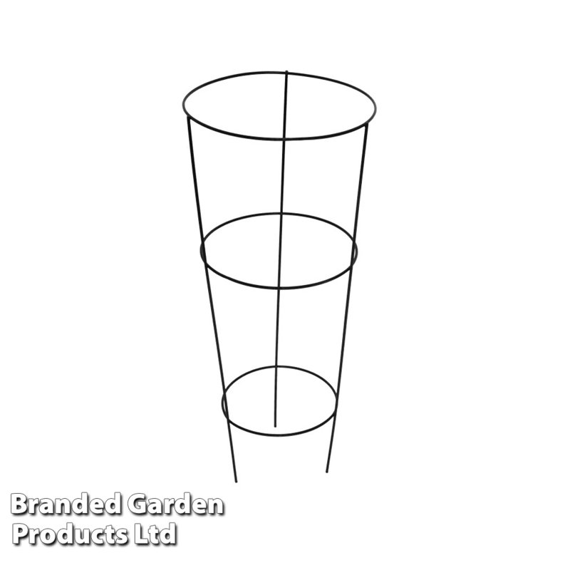 Chrisman Metal Plant Support, 75cm H x 32cm W x 32cm D