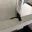 Photos des clients 4 de 9