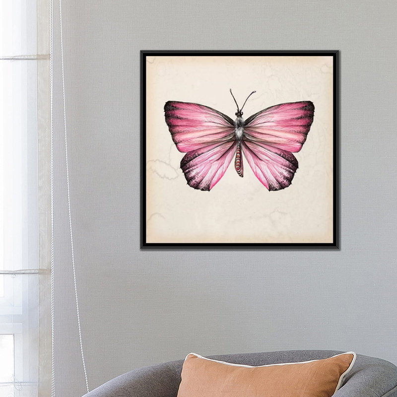 « papillon study iv », impression sur toile, H 18 po x l 18 po x P 1,5 po, Toile avec cadre noir, Pas de tapis