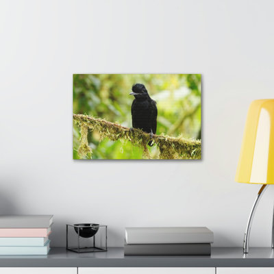 Wall Art on Canvas