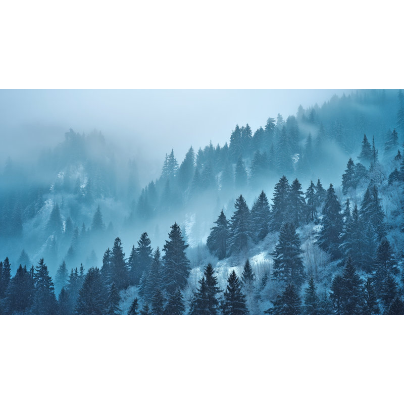 Art mural sur toile Misty, 20" H x 36" W