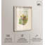«Lily Pond Shadowbox Art botanique» par Art Remedy-118182654-118182656