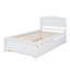 Lit plateforme avec lit gigogne-738194006