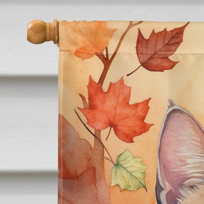 Chat en feuilles d'automne, Raas