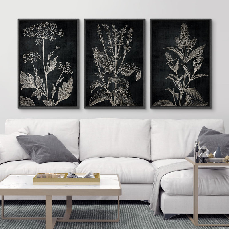 "Croquis botaniques noir et blanc, plantes élégantes, illustrations, art moderne, salon", 3 pièces, Noir, H 24 po x l 16 po