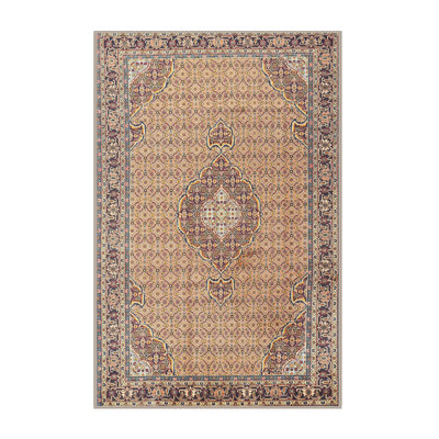 Abi Oriental Indoor Rug