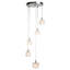 Gibbsboro 5 - Light Cluster Pendant