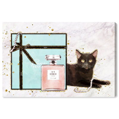 " Cat Glam Blue Box "