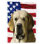 Polyester à 2 côtés 28 x 40 po drapeau maison-1879433822