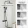 2 Functions Thermostatic shower system with 3-Setting Handheld Shower and Rough-in Valve