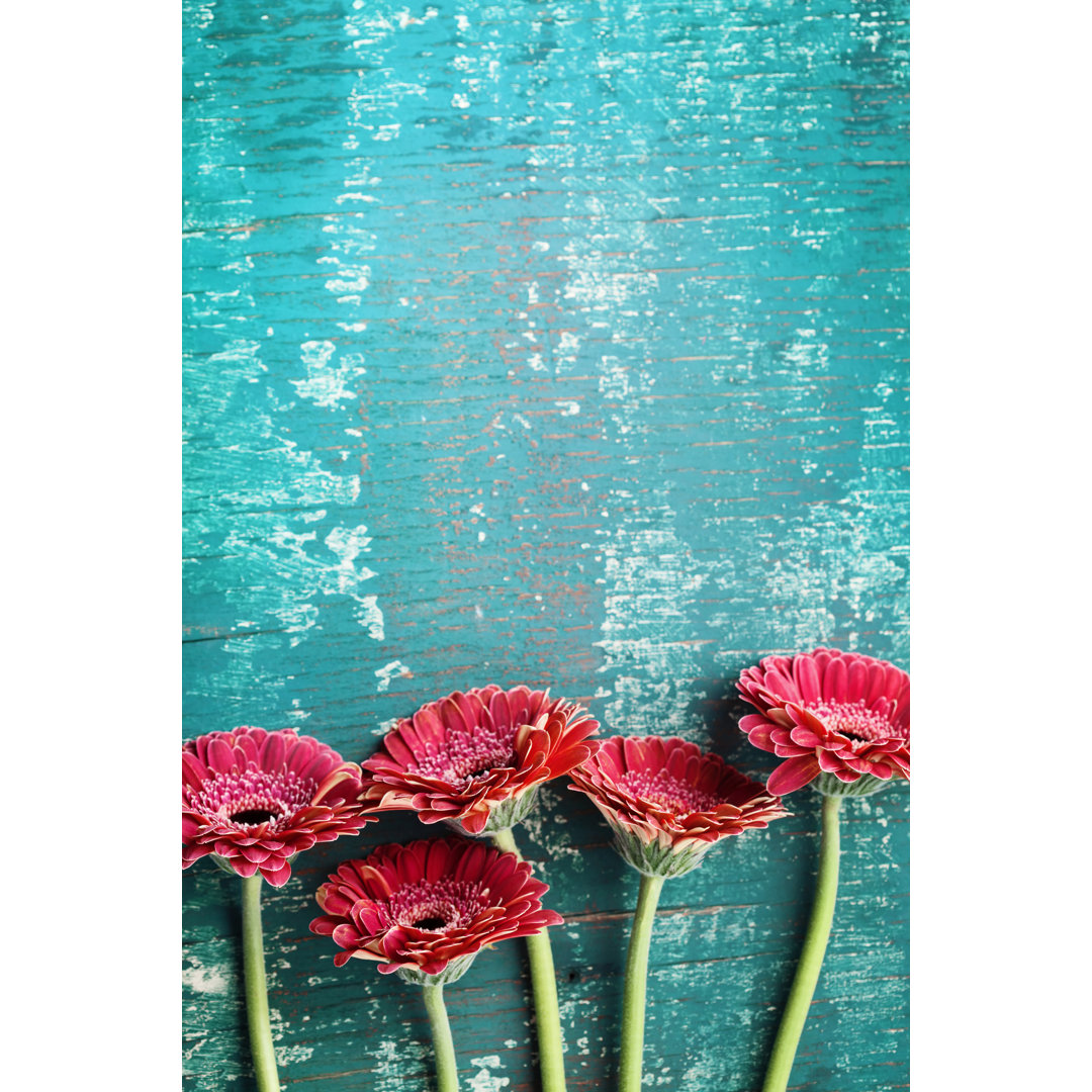 Leinwandbild Gerbera Daisy Flower Floral Border on Vintage Teal Background von Julia_Sudnitskaya