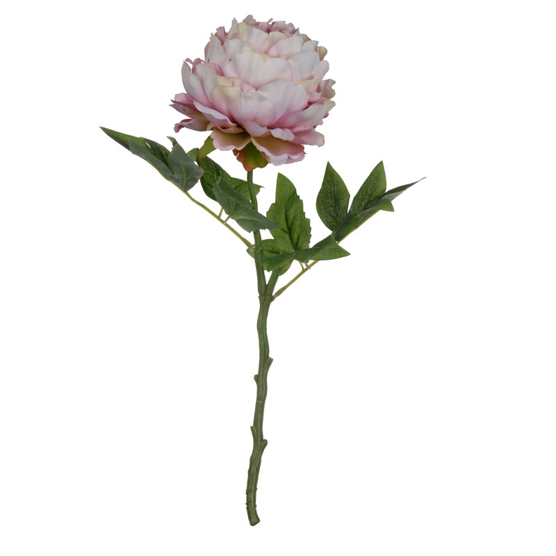 Peony Arrangement