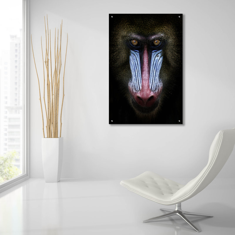 " Mandrill " by SD Smart, 36" H x 24" W x 0.2" D