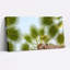 Ensemble de 1 tableau sur toile Palm Sky-129114386-129114384
